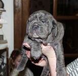 1 month age